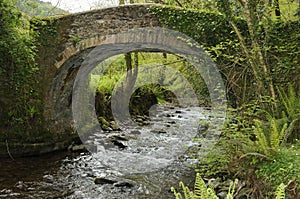 Horner Packhorse Bridge