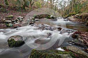 Horner woods in Somerset