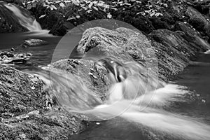 Horner woods in Somerset