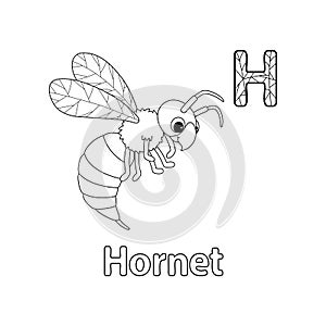 Hornet Animal Alphabet ABC Isolated Coloring H