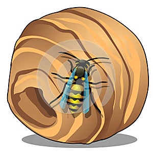 The hornet or wasp nest, vespiary isolated on white background. A hive of wild forest bees. Vector cartoon close-up