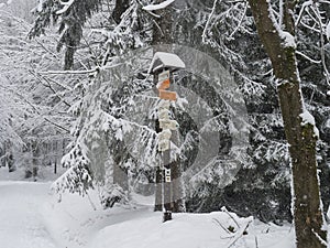 Horni svetla, Czech Republic, January 24, 2021: Tourist signpost near mountain cottage Luz with cross country ski snowy