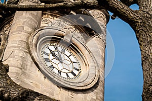 The Horniman Museum clock tower