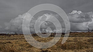 Hornisgrinde swamp meadow and cloudy sky