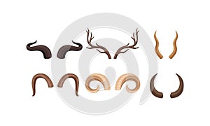 Horns of Different Animals with Ram and Deer Antlers Vector Set
