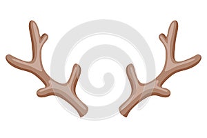Horns. Hunting trophy. Vector horned wild animal. Pairs of antlers. Vector illustration of hunted animal, wildlife photo