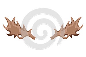 Horns. Hunting trophy. Vector horned wild animal. Pairs of antlers. Vector illustration of hunted animal, wildlife photo