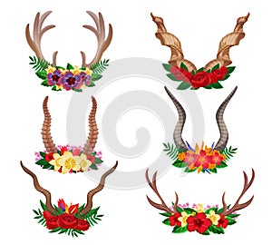 Horns Ornamental Floral Set