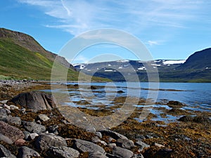 Hornstrandir nature reserve, Iceland