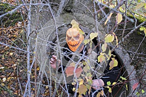 Horrible creature in the autumn forest in the evening. Happy Halloween. Pumpkinhead.
