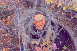 Horrible creature in the autumn forest in the evening. Happy Halloween. Pumpkinhead.