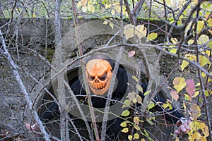 Horrible creature in the autumn forest in the evening. Happy Halloween. Pumpkinhead.