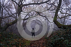 A Horror concept of a hooded figure without a face on a path through a spooky forest on a moody, foggy winters day