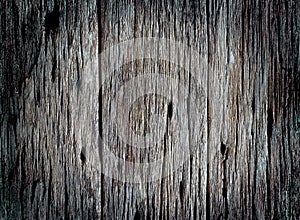 Horror dark texture wood background