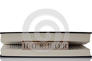 Horror written on wooden blocks inside a book isolated on a white background