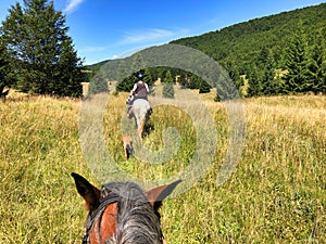 Horse riding in nature