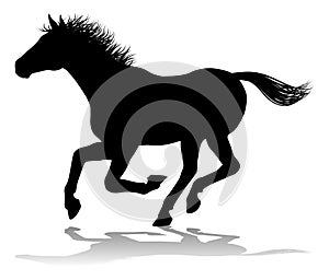 Horse Silhouette Animal photo