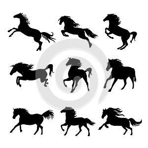 Horse Animal Silhouette Black Icon Flat Design Element Vector Illustration