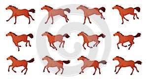 Horse animation. Cartoon horses running gait movements animate frames, walking or galloping race sequence cycle 2d