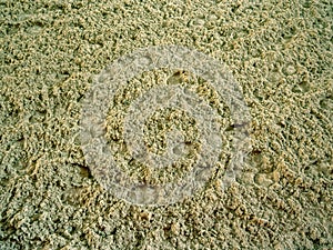 Horse arena floor with traces of horseshoes flat texture