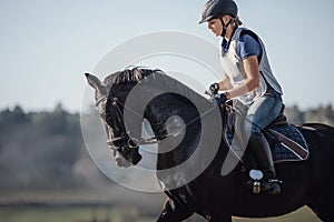 Horse and attractive young woman rider galloping during eventing competition in sunlight in daytime