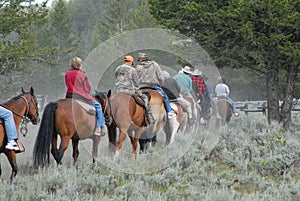 Horse back riding on trail