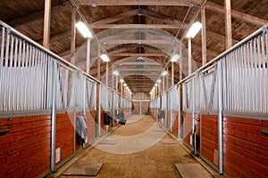 Horse Barn Animal Sport Paddock Equestrian Ranch Racing Stable