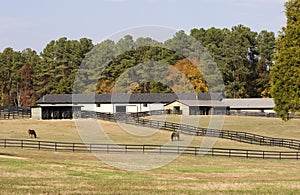 Horse Barns