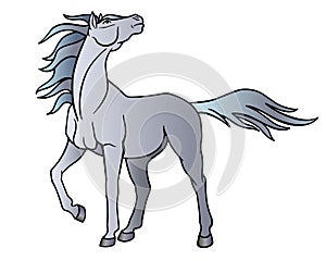 Horse. A beautiful gray stallion looks into the sky, the wind flutters its long mane and tail - vector full color picture with an