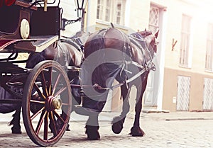 Horse and a beautiful old carriage in old town.