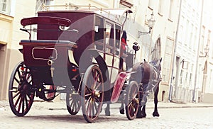 Horse and a beautiful old carriage in old town.