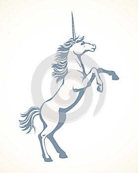 Horse began to buck. Vector drawing