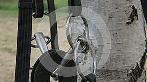 Horse bit and bridle hanging outside a horses stable. Horse bit hanging outside a horses stable. Horse riding accessories and supp