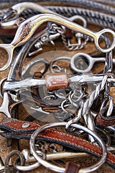 Horse Bits, Tack Leather & Rope photo