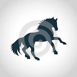 Horse black silhouette