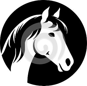 Horse - black and white vector illustration photo