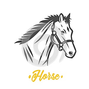 Horse. Black and white vector objects.