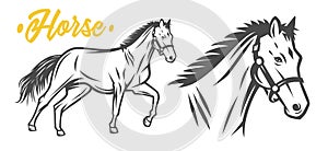 Horse. Black and white vector objects.