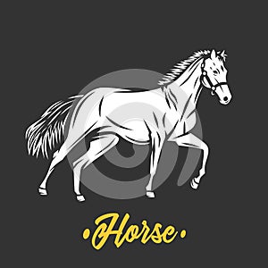 Horse. Black and white vector objects.