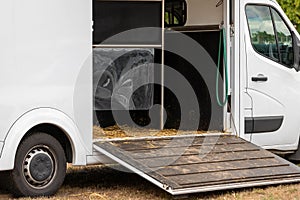 Horse box cargo trailer transport with open tailgate with hay and manure and horse transportation van at farm or ranch