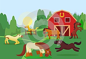 Horse breeding animal husbandry vector illustration flat style. Different cartoon horses walking outdoor and eating