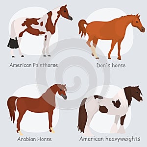 Horse breeds color flat icons set