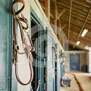 Horse bridle