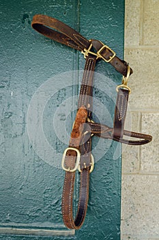 Horse bridle