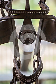 Horse bridle close up