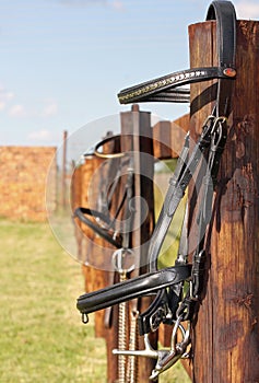 Horse bridle on a fence