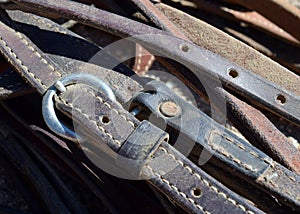 Horse bridles