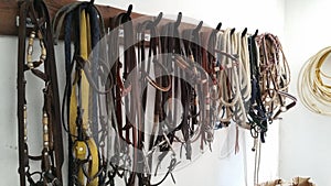 Horse bridles