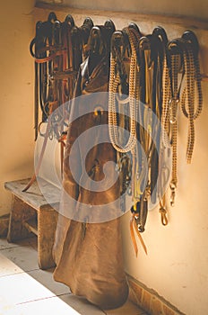 Horse bridles and western chaps