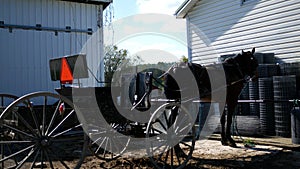 A Horse and Buggy in Amish Country During Daytime